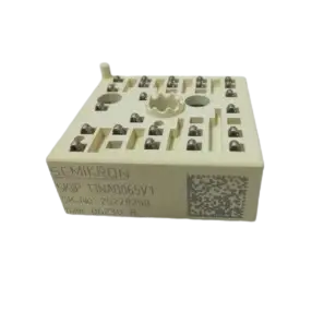 SKiiP13NAB065V124A Semikron IGBT Module